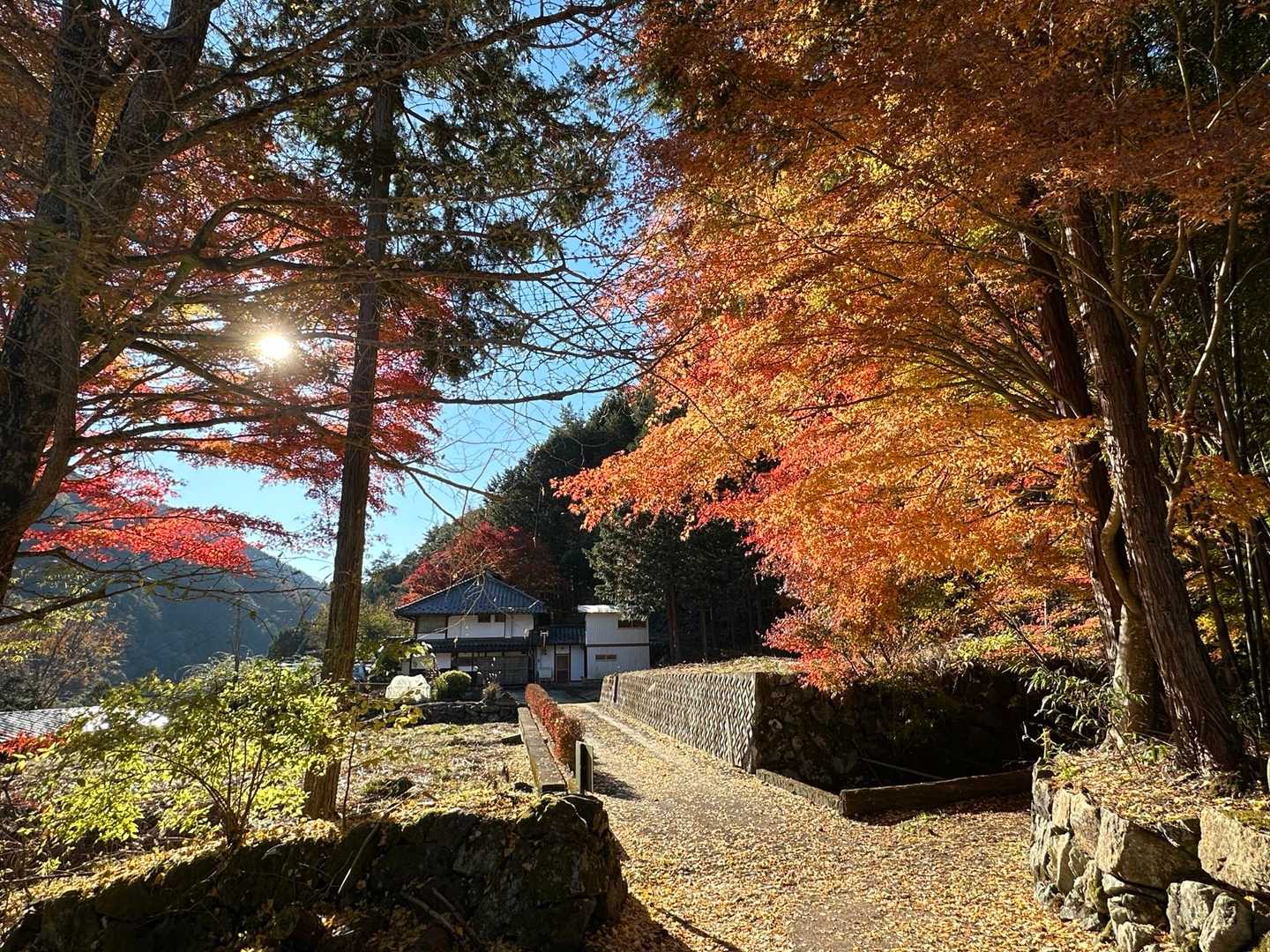 弥三郎岳 往復コースの写真