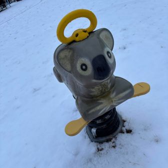 戻ってきました〜
🐨
3回行きたかったなぁ
