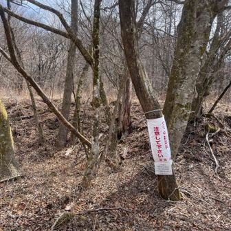 🐻気配はなかったが、冬眠してないのかな