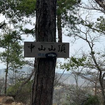 今回やっと山頂を発見できた