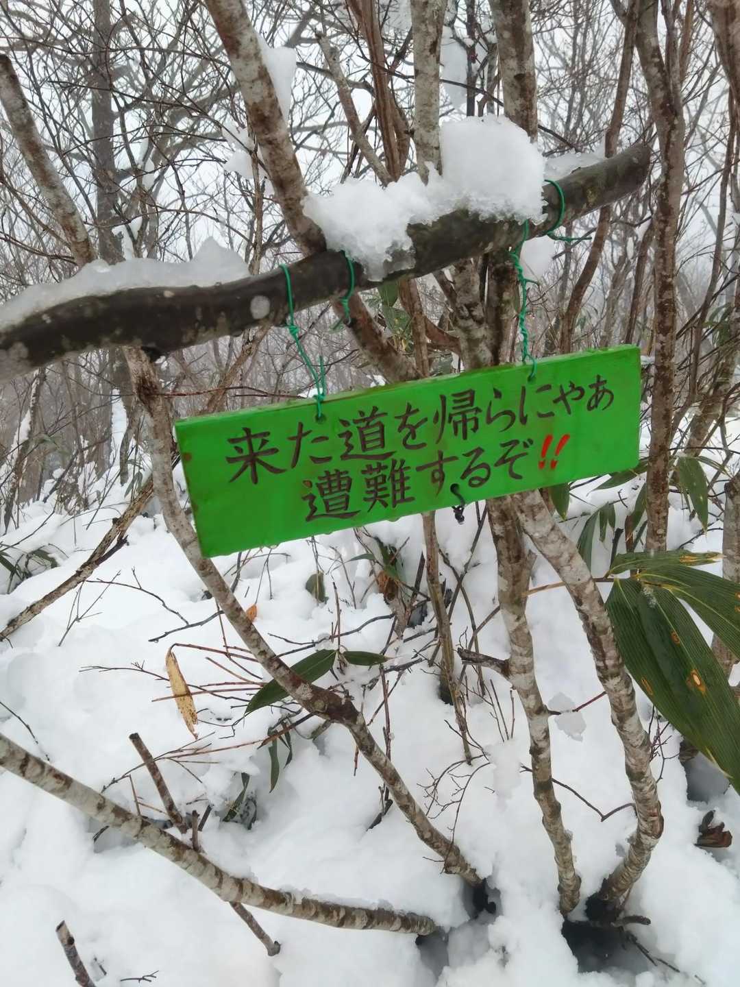 わかりました🙇