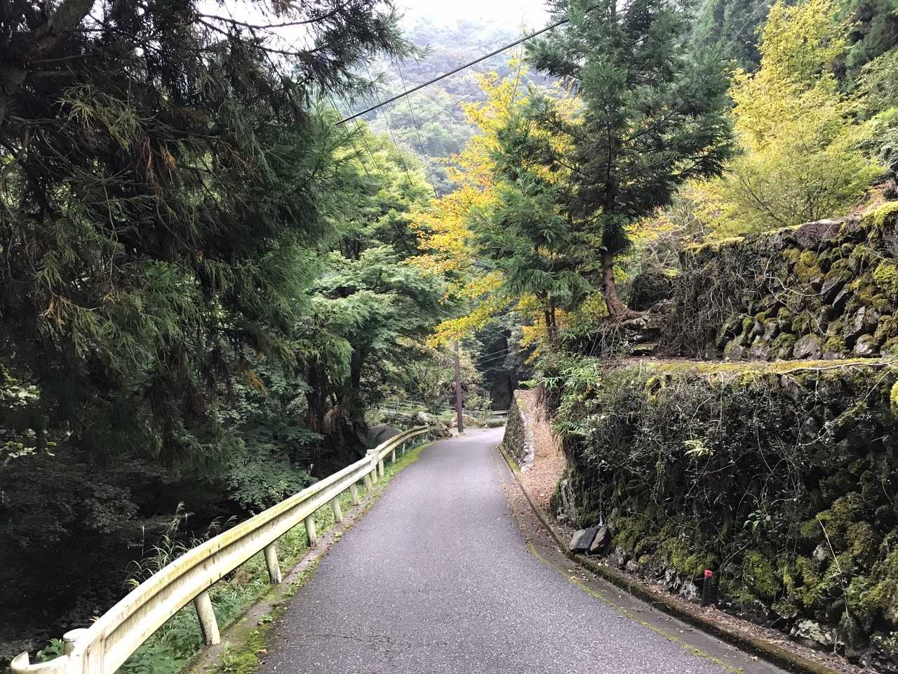 この時間から登ってくる人も多かった。