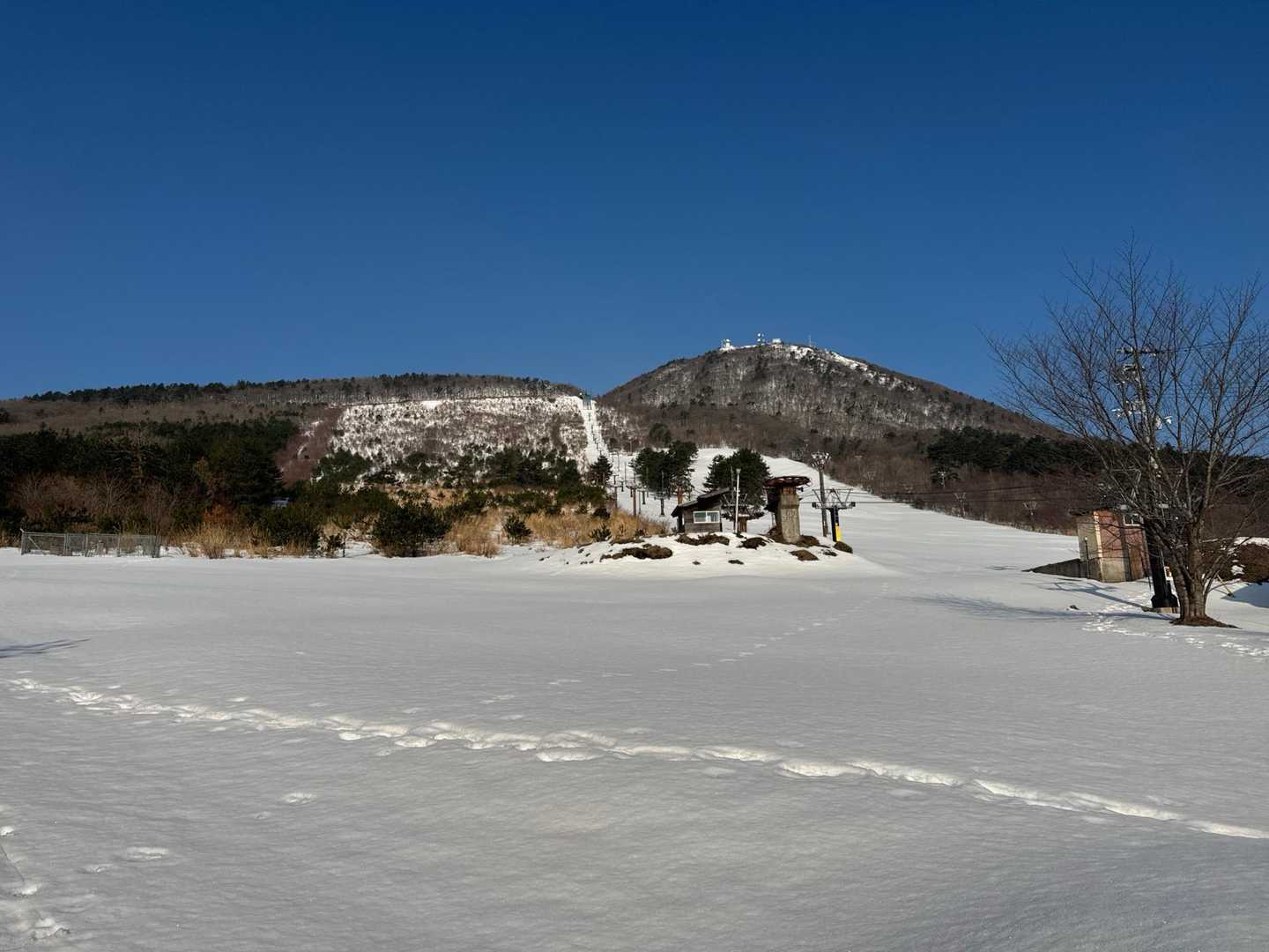 東の原の雪原