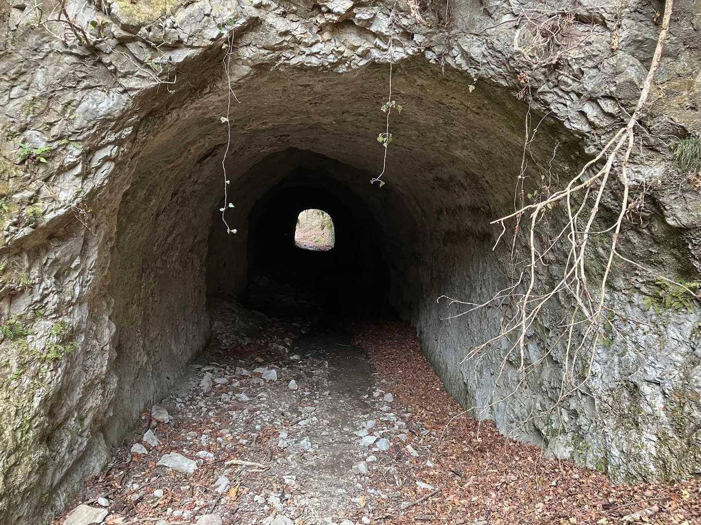 トンネル多数あり
