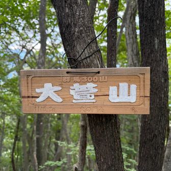 大萱山　群馬300山
