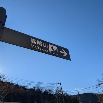 行くよᕦ⁠ʕ⁠ ⁠•⁠ᴥ⁠•⁠ʔ⁠ᕤ