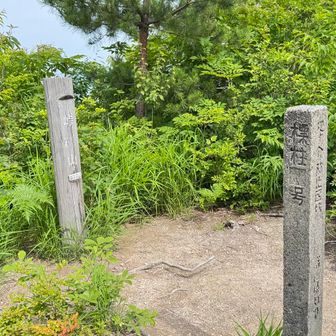 本日最高峰峠山477m