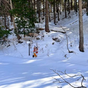 Ｔ字尾根の登山口