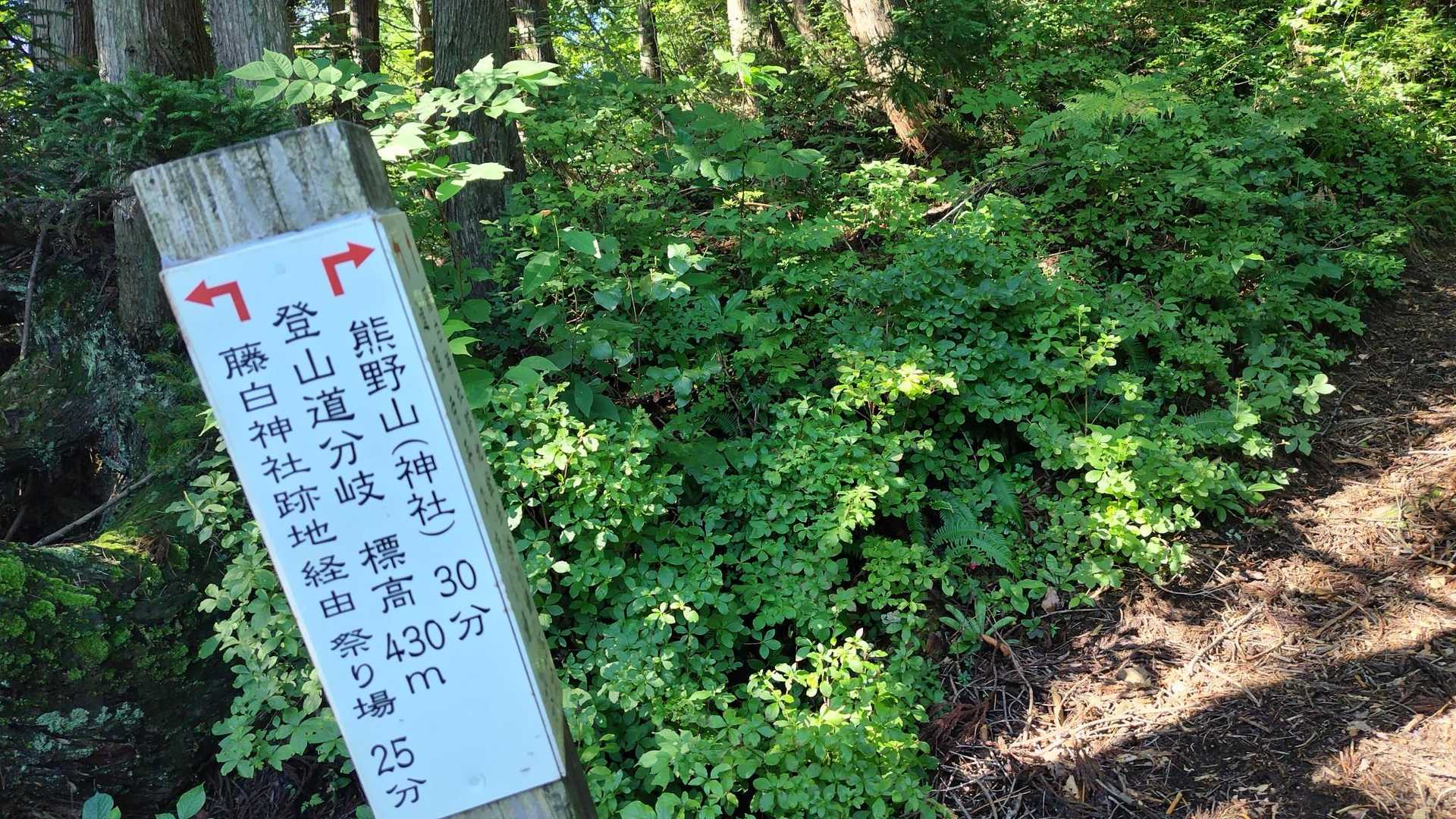 熊野神社-熊野山 往復コースの写真