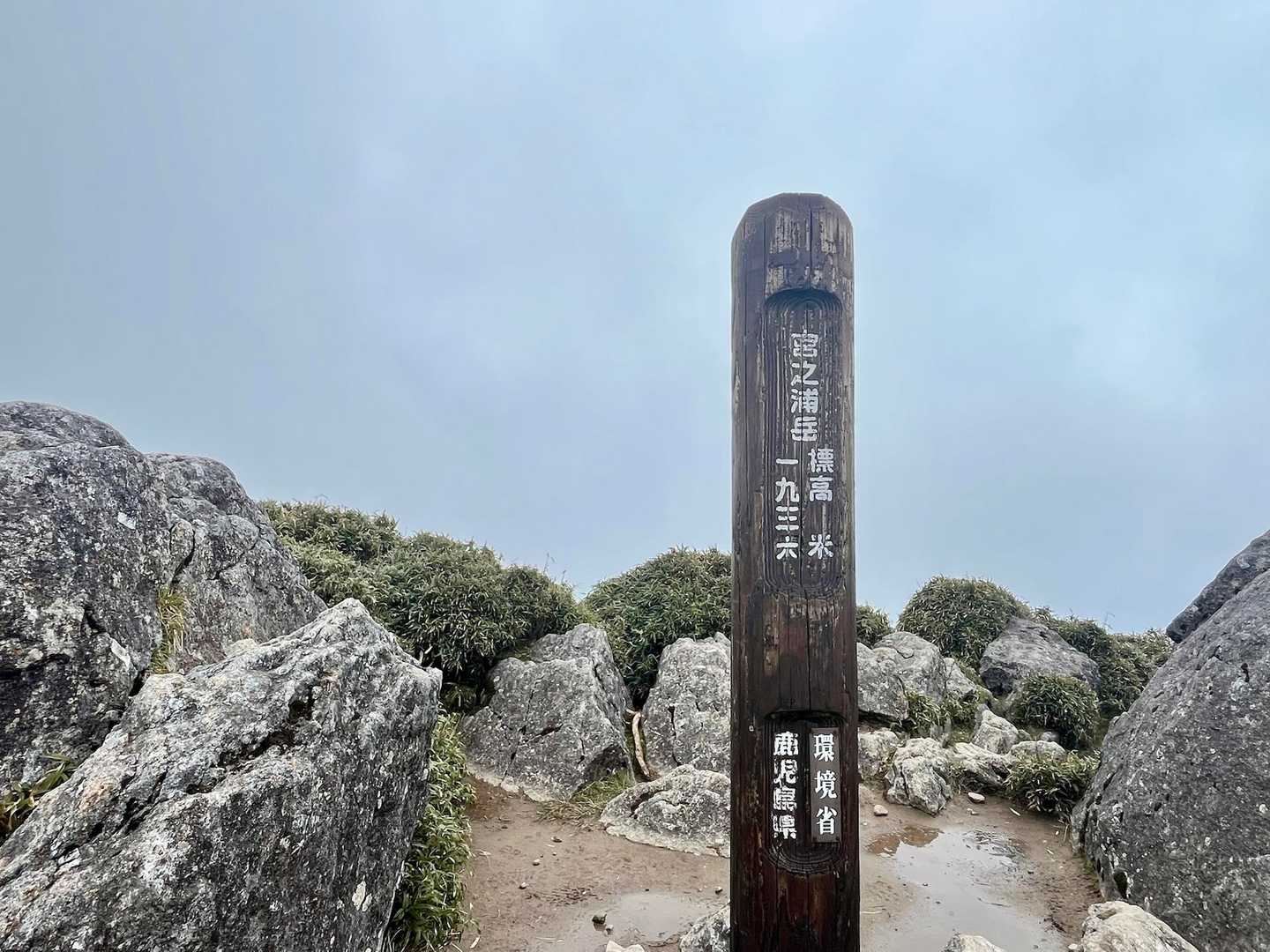 宮之浦岳往復 | 世界遺産の縄文杉の森を歩き、九州最高峰を目指す離島ハイクの写真