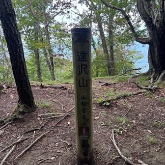 登頂
山梨百名山30座目