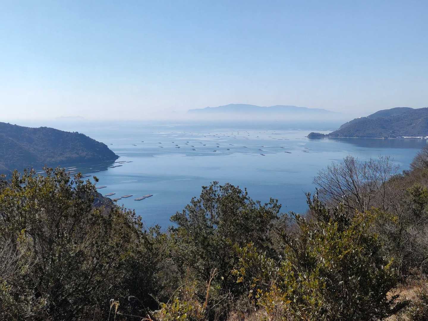 牡蠣の養殖イカダが凄く沢山！