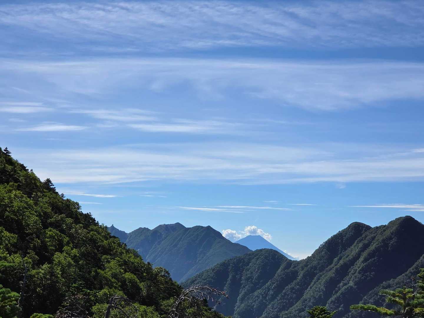 富士山見えた🗻