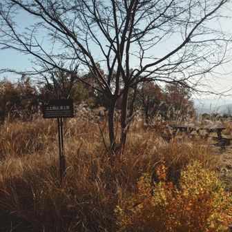 上土井山
まだ、ここらへん余裕あり。