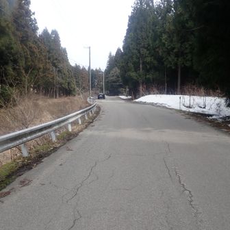 路肩駐車/レンタカー