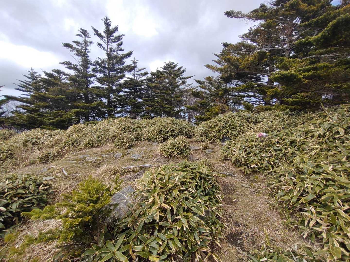 沓掛山山頂