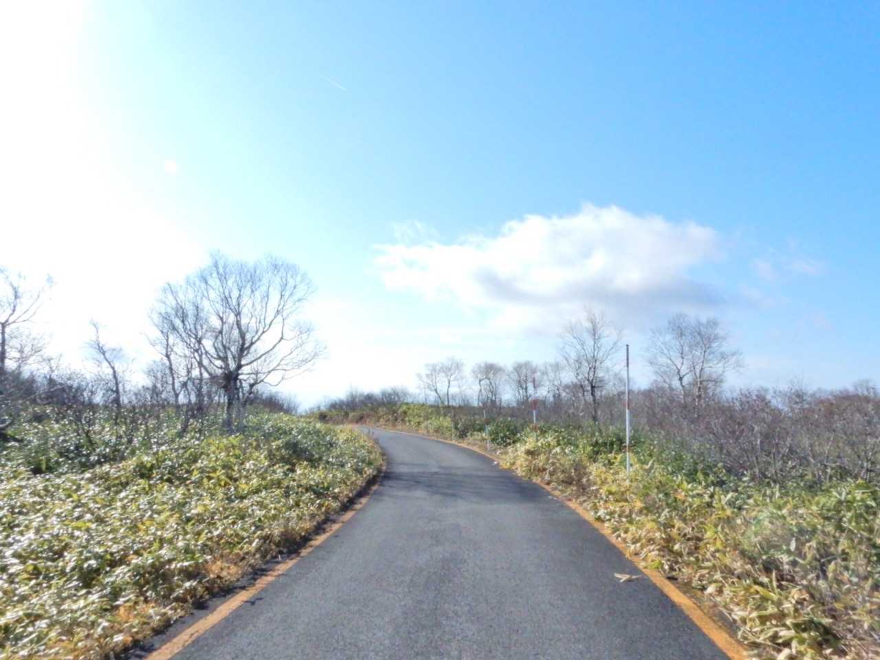 オール舗装路