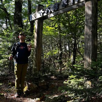阿弥陀が森