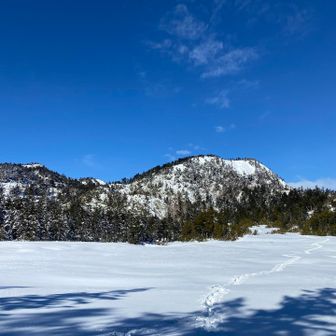 池の上を歩いたトレース有り