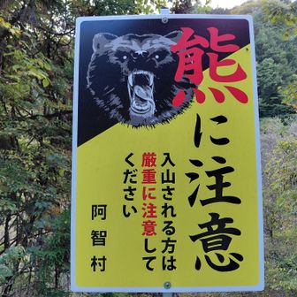 気にしたことも無かったが、この時期は寂しい登山道は気をつけないと🥲