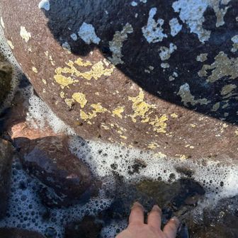 海にタッチ！波の合間に触るのはなかなかチャレンジでした。転ぶと濡れるし。