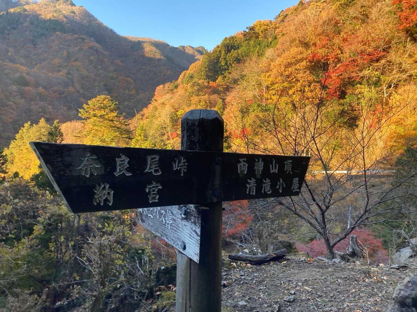 紅葉終わりかけ
