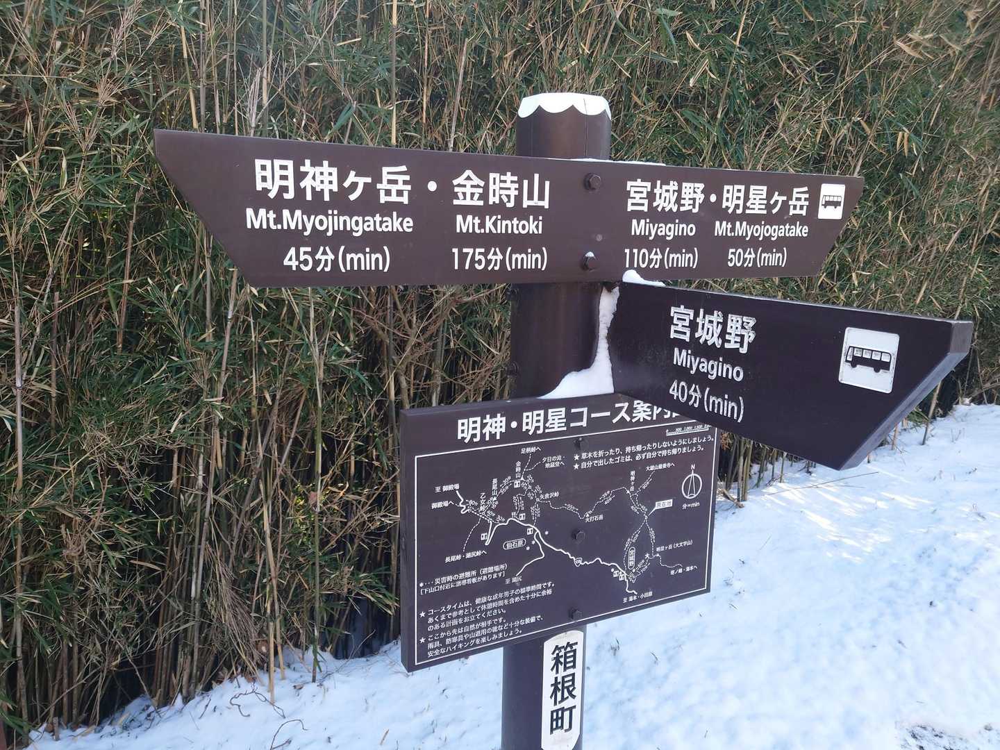 分岐