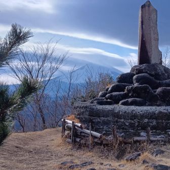 足柄城跡地より