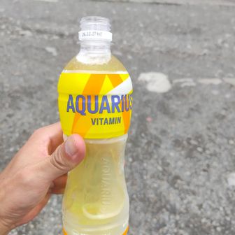 240円だけど、水切れてたので買った