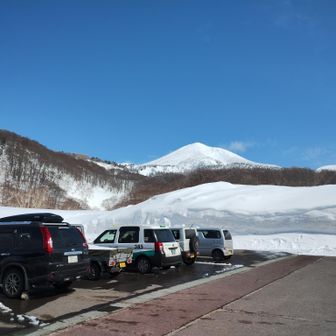 はる