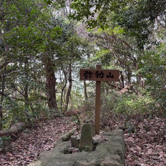 眺望がまったく期待できない弥勒山