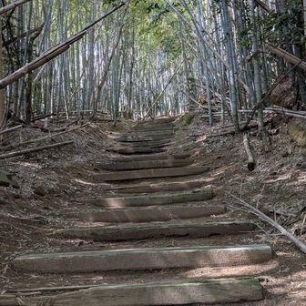 ロードから御茶山の登山道。竹林の中を歩きます