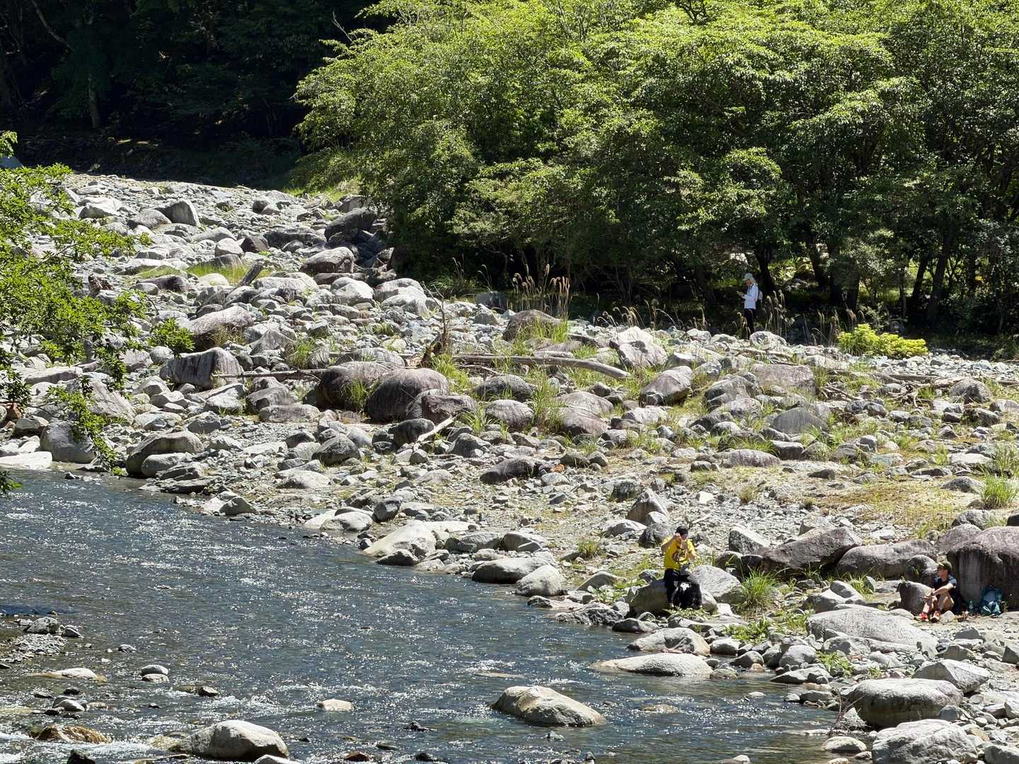 今日は人が多いですね😄