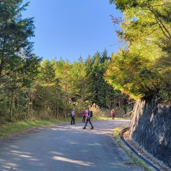 日が差すので景色が淡く優しい紅葉が素敵ねぇ～！