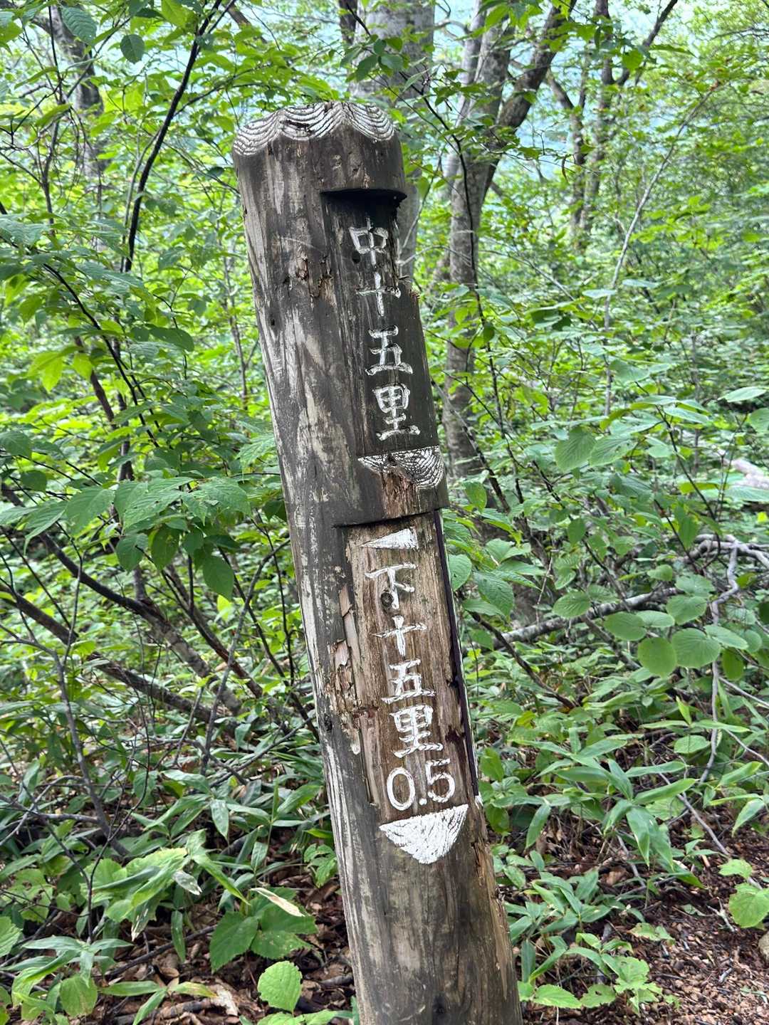 中十五里
まだ目が覚めず💤