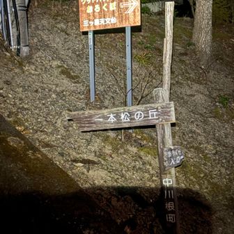 天文台の駐車場に車🚗を停めてブラックスタート！