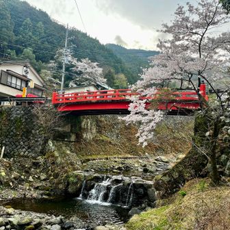 スタンプラリーをきっかけに、古道(旧参道)を散策しました～♪🚶‍♀️🌸