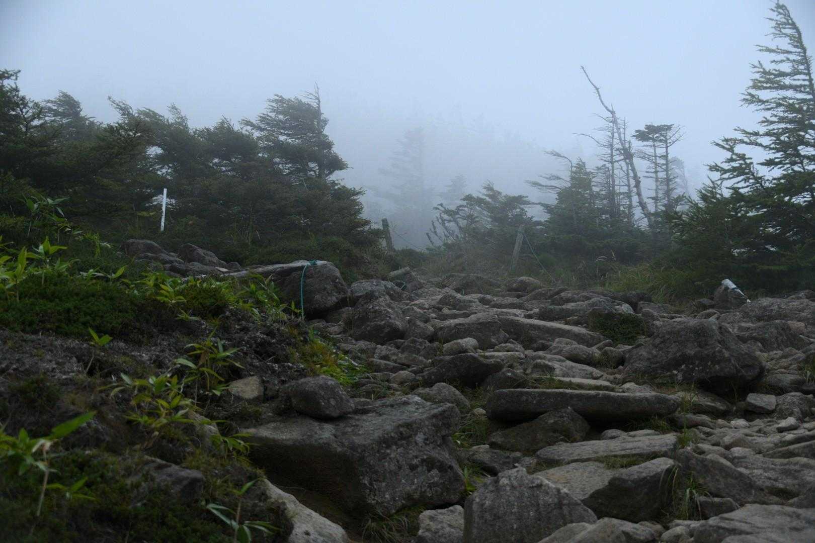 大河原峠-双子山 往復コースの写真
