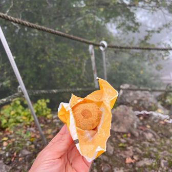 ここでモグモグタイム。今日のおやつ。中に抹茶とホイップクリームが入ってて美味