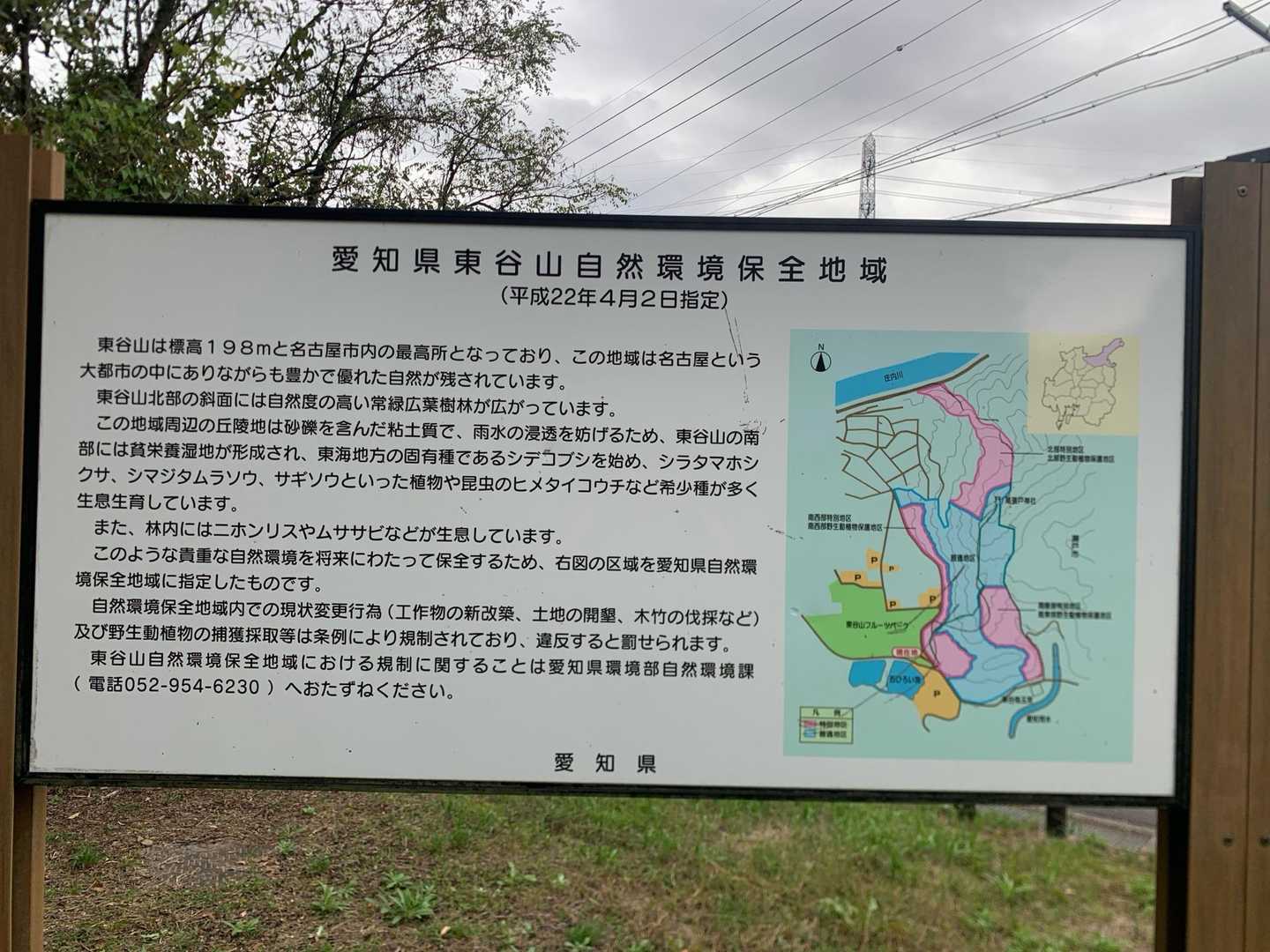 確かに自然がある感じ