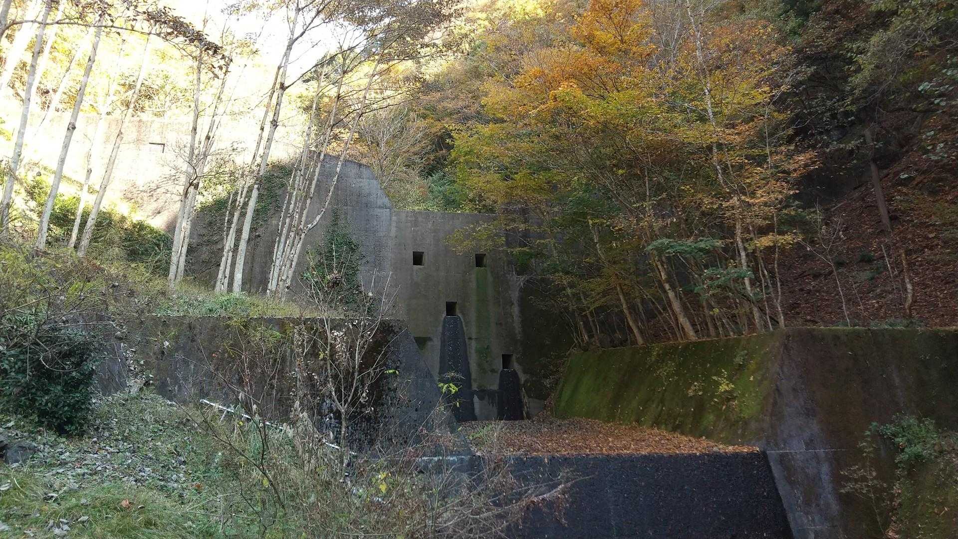 顔に見えるダム ヨダレが出てます