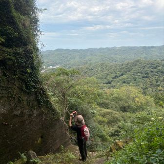 壁の向こうの景色は広大
高い山はないけどジャングル感