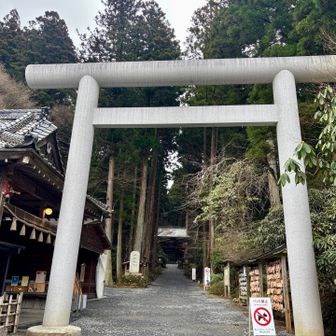 大鳥居をくぐった左側にある祓戸神社でここまで持ってきた自身の厄を祓います💨