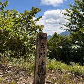 やっと一息つけた感。初速飛ばしすぎない感覚はだいぶ身についた。いつもの鉄人登山より気持ちが楽。