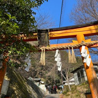 おじゃまします🙏
人気のお山⛰️なんですね