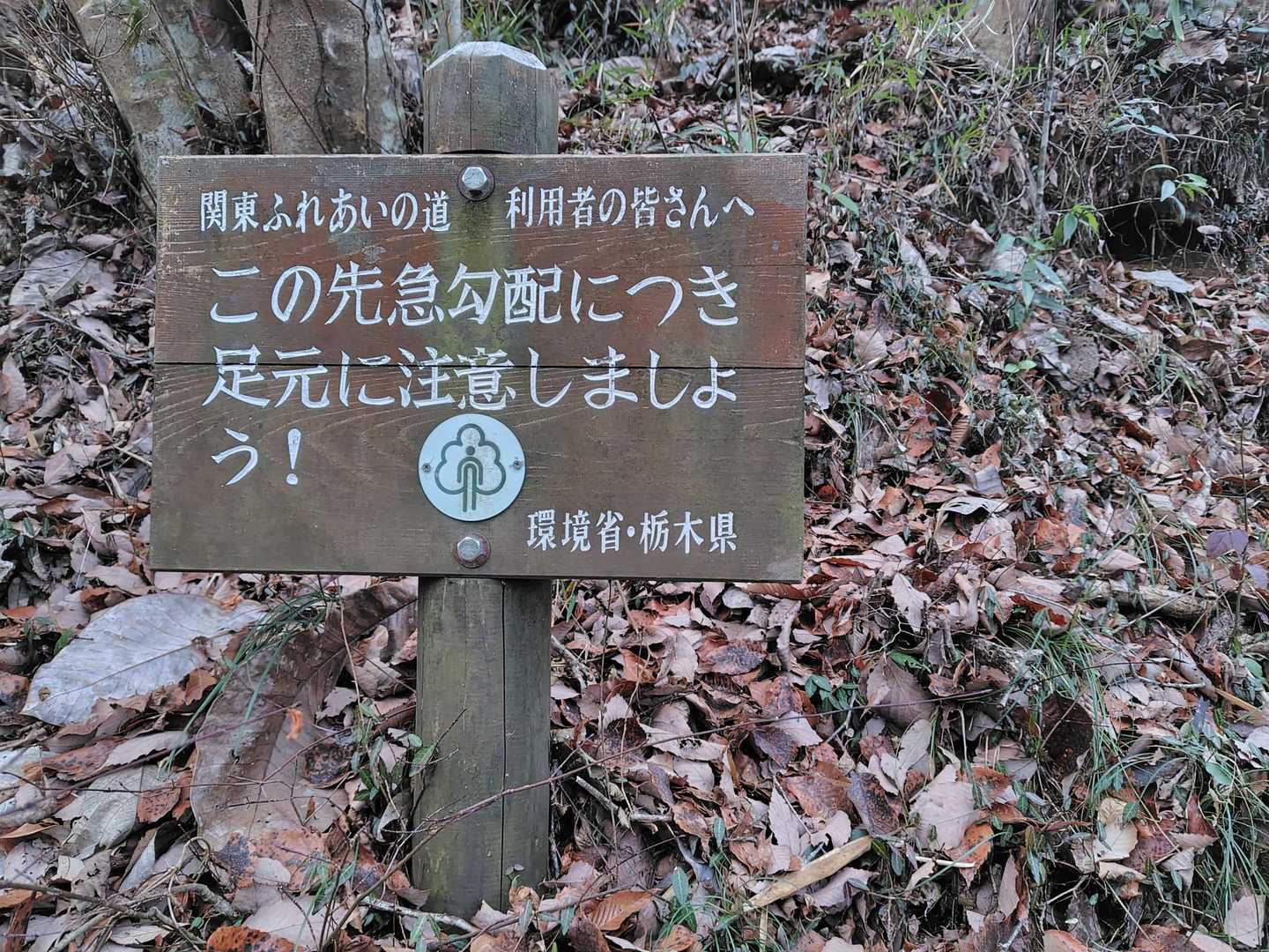 ほんと急だけど、