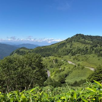 高原らしい景色✨