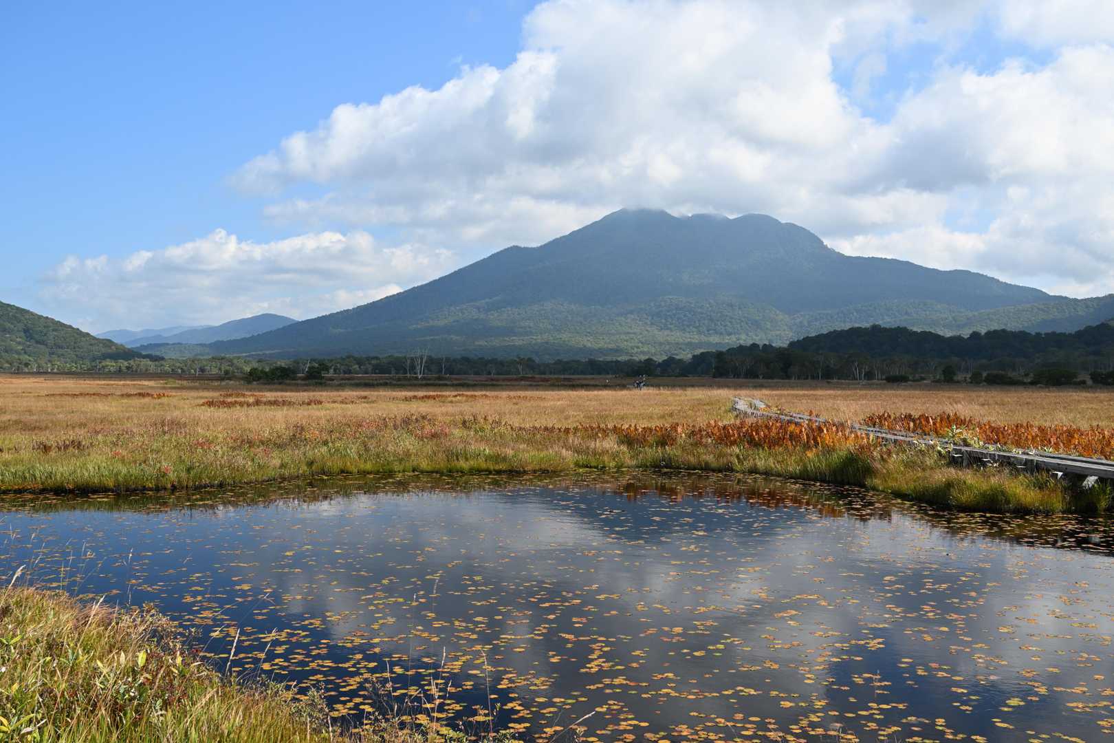 鳩待峠-尾瀬ヶ原 周回コースの写真