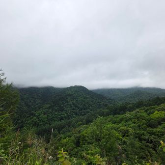 晴れていればね