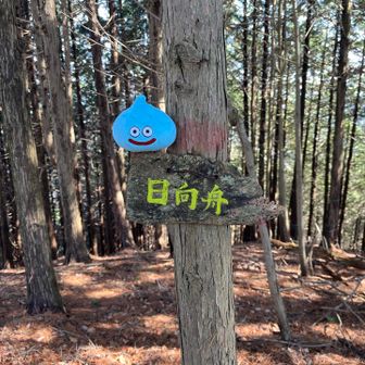 日向舟。　なぜ舟か